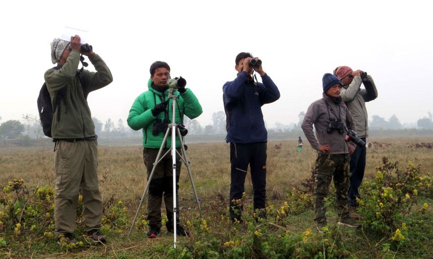 Bird watching tour in Chitwan