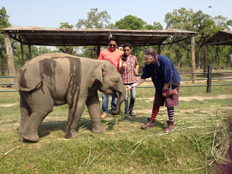 Elephant breeding center visit