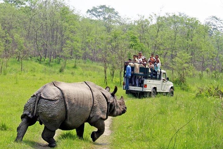 Spotting rhinos on a jeep safari