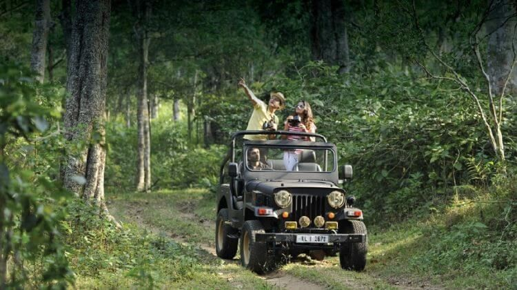 Jeep Safari