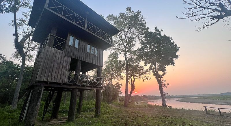 Jungle Tower Night Stay